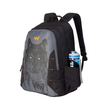 Nylon 44 Ltrs Casual Backpack