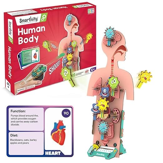 Human Body Toy for Kids 6-12 Years | Body Organs & Functions | Birthday Gifts for Boys & Girls | DIY Science Toys for Kids 6,7,8,9,10,11,12,13,14 Years Old I STEM Wooden Construction Game