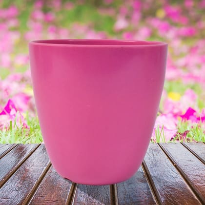 Plastic Flower Valencia (Pot) Home and Outdoor (1 Pc/Mix Colour)