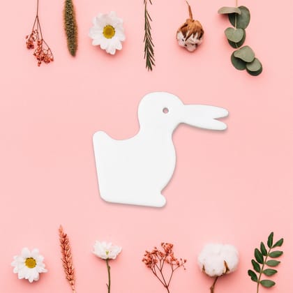 Magic Rabbit Duck Illusion Toy (1 Pc)