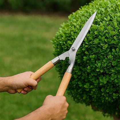 Wooden Handle Hedge Shears, Bush Clipper