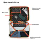 ... ...