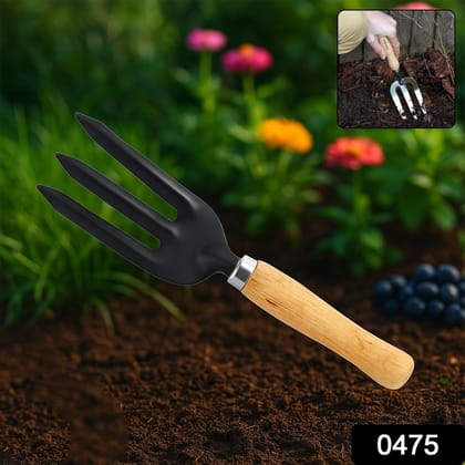 Hand Weeding Fork (Steel, Black) Hand Weeding Fork (Steel, Black)