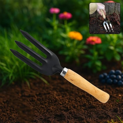 Hand Weeding Fork (Steel, Black) Hand Weeding Fork (Steel, Black)