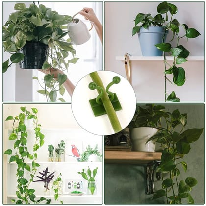 Plant Climbing Wall Clips Self-Adhesive Money Plant Support Clips Vine Plant Climbing Fixing Clip (10 Pcs Set)