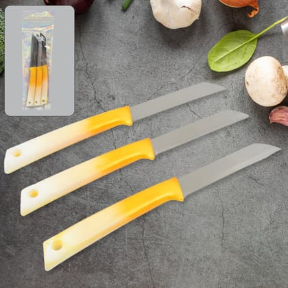Kitchen Knife with Stainless Steel Blade (1 Pc) Kitchen Knife with Stainless Steel Blade (1 Pc)