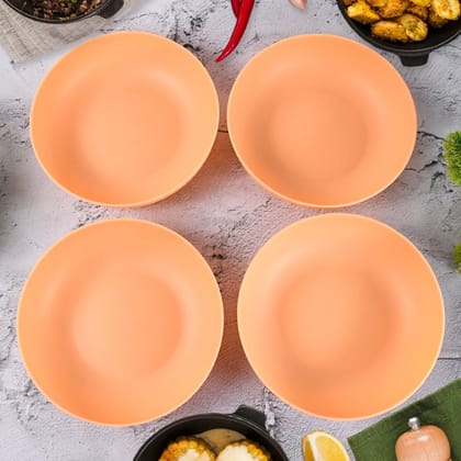 Dog Food Bowl for Dogs & Pets Dog Bowl Large (4 Pc) | Assorted Colour